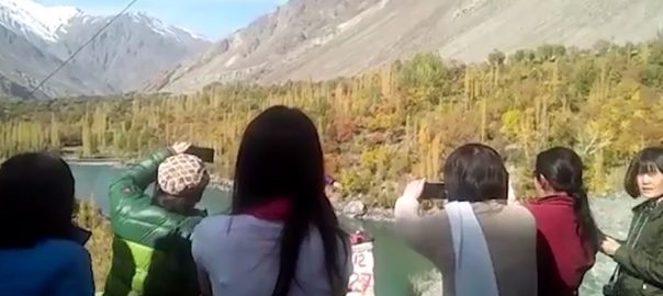 ministry-of-overseas-pakistanis-registers-savings-worth-rs111mn-for-2018-19