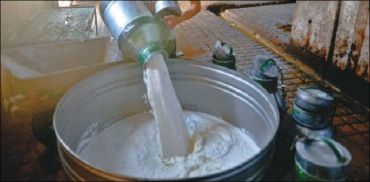 hyderabad-dairy-farmers-hike-milk-prices-by-rs10