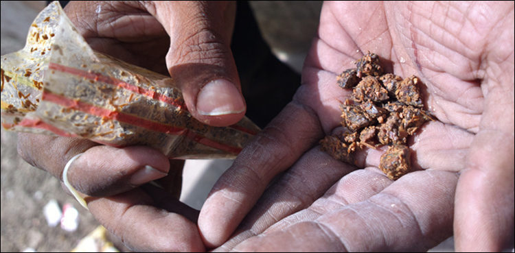 shc-informed-of-petitioners-death-in-gutka-case-hearing