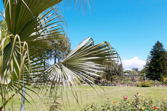 met-office-forecasts-hot-weather