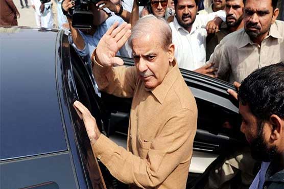 hehbaz-sharif-appears-before-nab