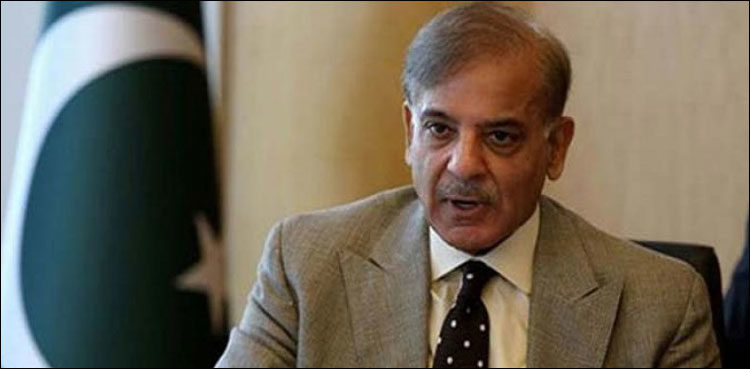 lhc-extends-shehbaz-sharifs-pre-arrest-bail