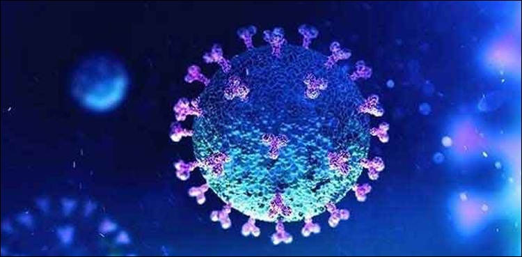 punjab-reports-record-48-deaths