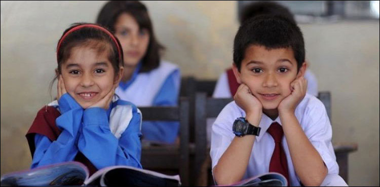 sindh-govt-finally-wakes-up-to-need-for-online-classes-for-public-schools