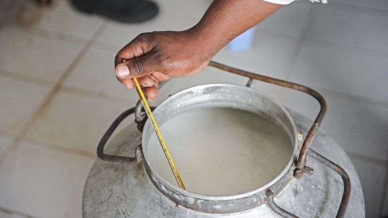 fails-to-bring-down-milk-prices