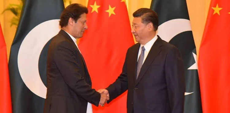 member-of-sco-youth-council