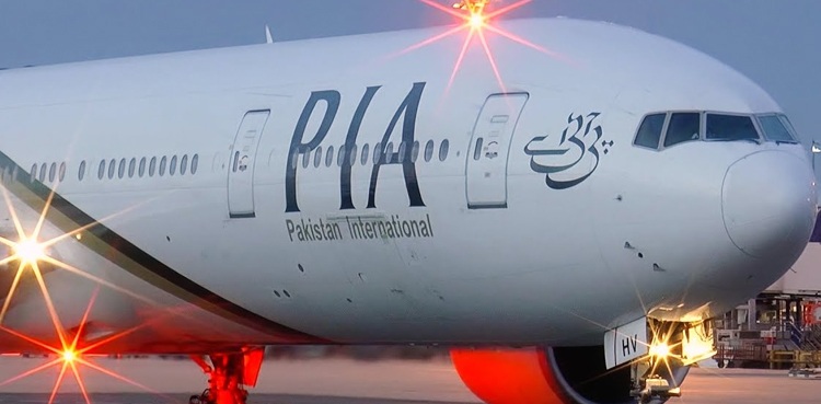 pia-plane-hit-by-a-bird