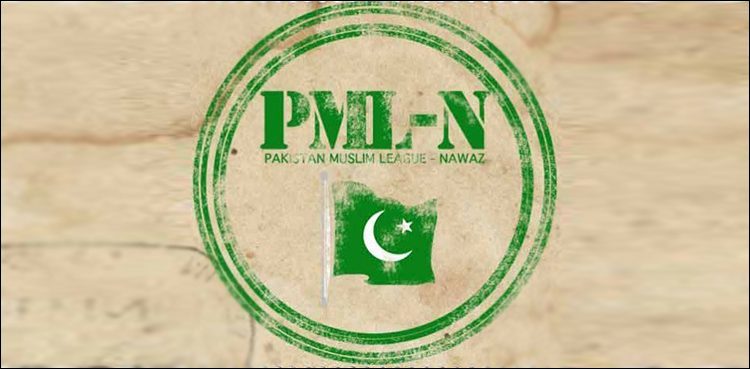 cracks-appear-in-pml-n