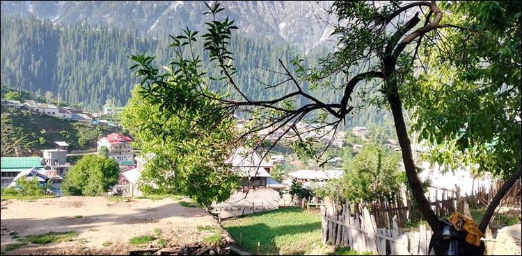 govt-decides-against-opening-hotels