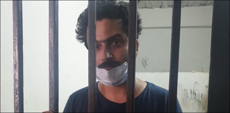 son-regrets-confesses-torturing-mother