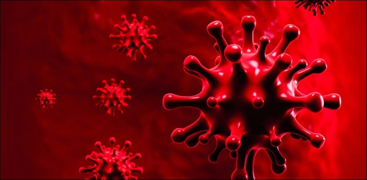 punjab-reports-new-coronavirus-cases