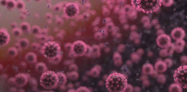 witness-decline-in-coronavirus-cases