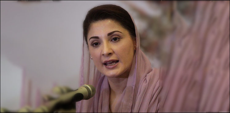 fir-registered-against-maryam