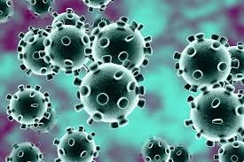 coronavirus-kills-12-more-people
