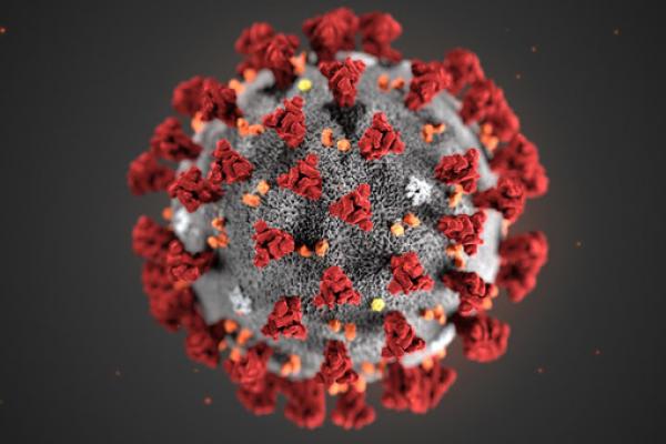 coronavirus-related-deaths