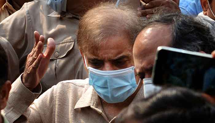 shahbaz-sharif-family