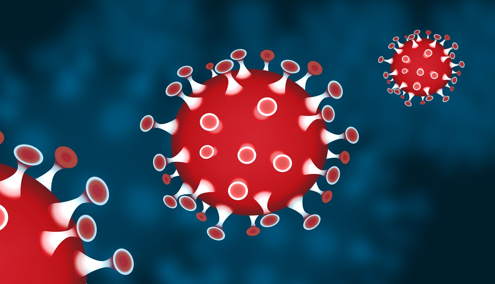 new-coronavirus-cases-9