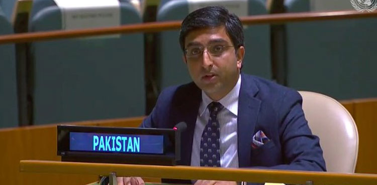 pakistan-at-unga