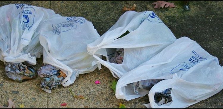 ban-on-polythene-bags