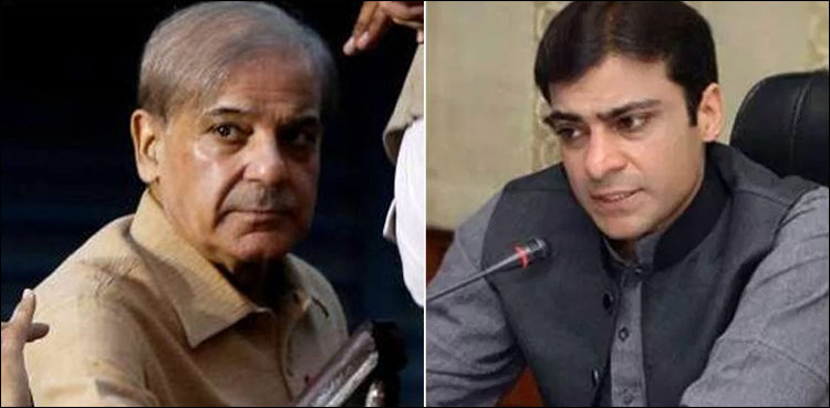 shehbaz-sharif-meets-hamza