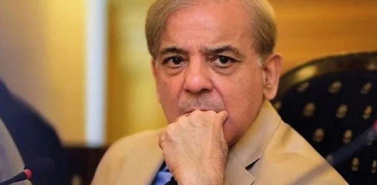 shehbaz-sharif-daughter