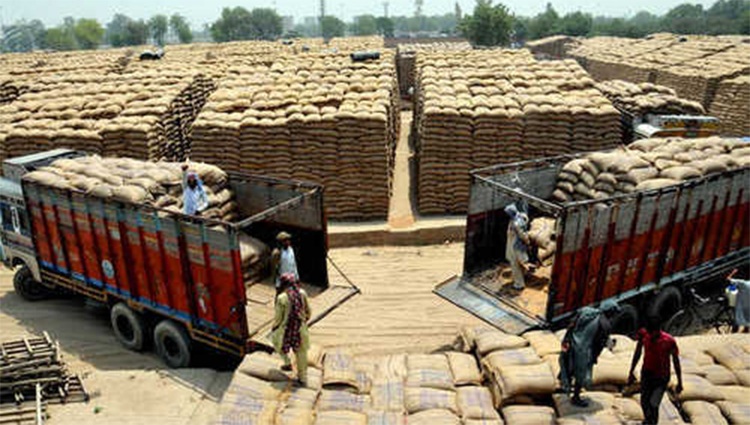 release-of-wheat