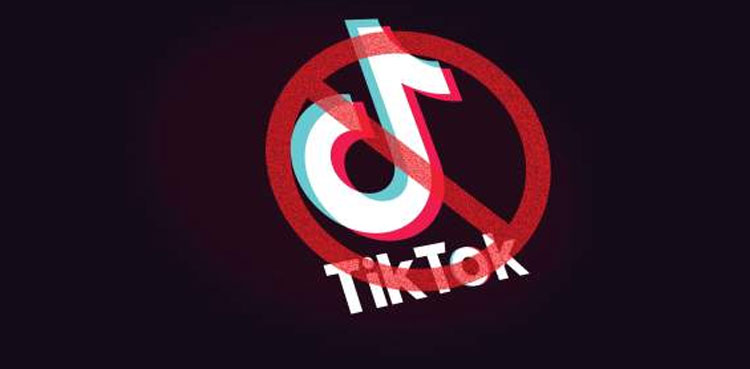 use-of-tiktok-through-vpn