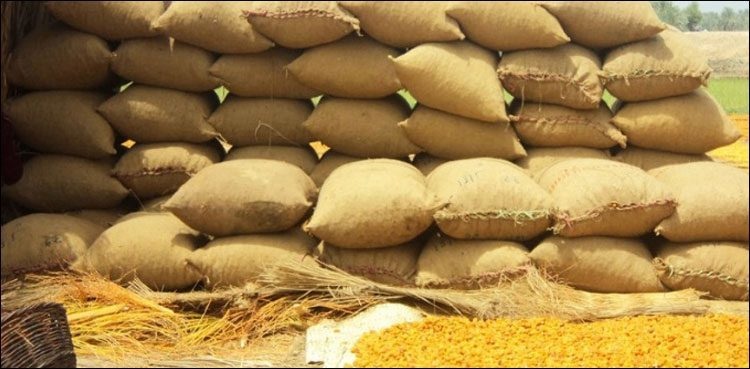 government-wheat-price