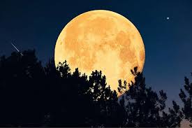 look-up-tonight-the-first-super-moon-of-2025-lights-up-the-sky