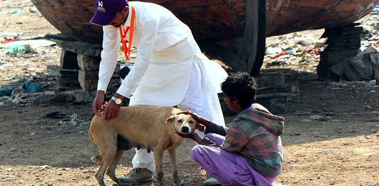 dog-bite-victim-from-badin-admitted-to-jinnah-hospital