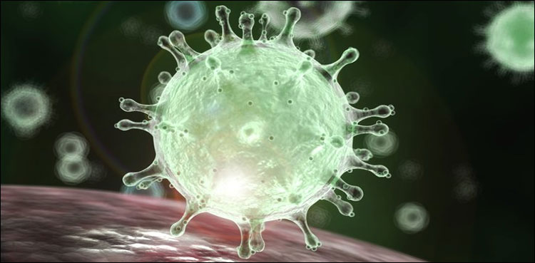 mansehras-uc-dhodial-sealed-after-detection-of-coronavirus-cases