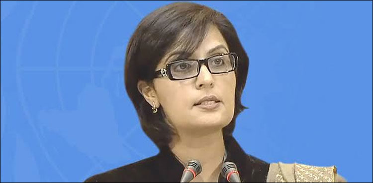 banks-to-remain-open-on-saturday-sunday-to-facilitate-deserving-families-sania-nishtar