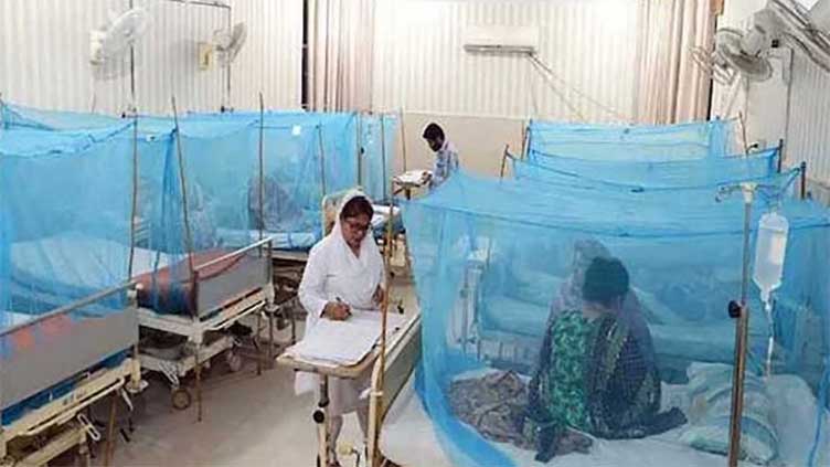 100-new-cases-of-dengue-reported-in-federal-capital-during-last-24-hours