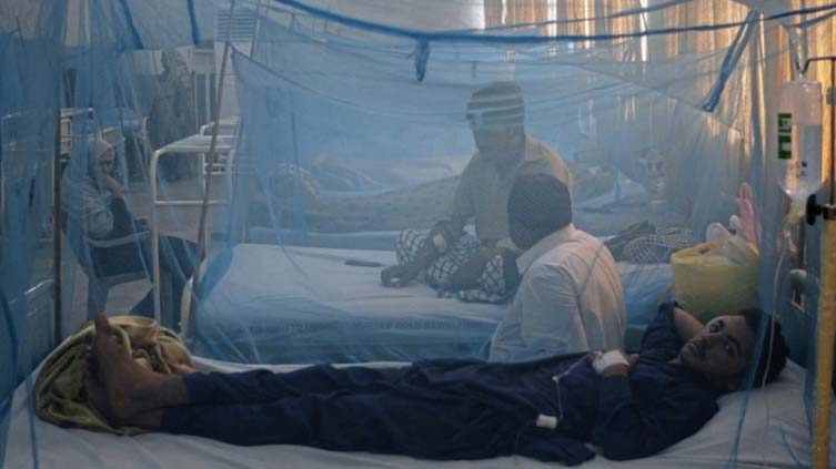 four-more-deaths-reported-as-dengue-fever-cases-keep-growing