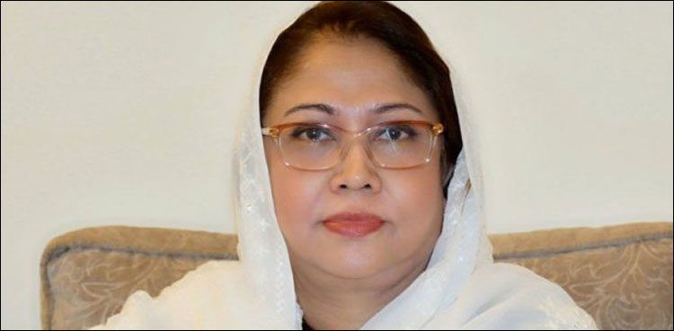 ecp-puts-off-pti-petition-for-disqualification-of-faryal-talpur