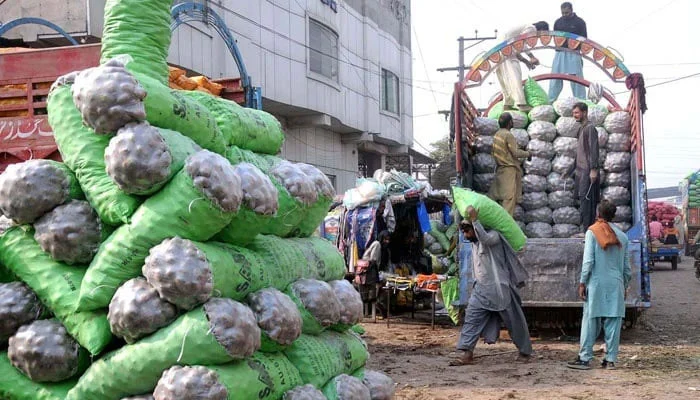 Russia gives green light to import Pakistani potatoes