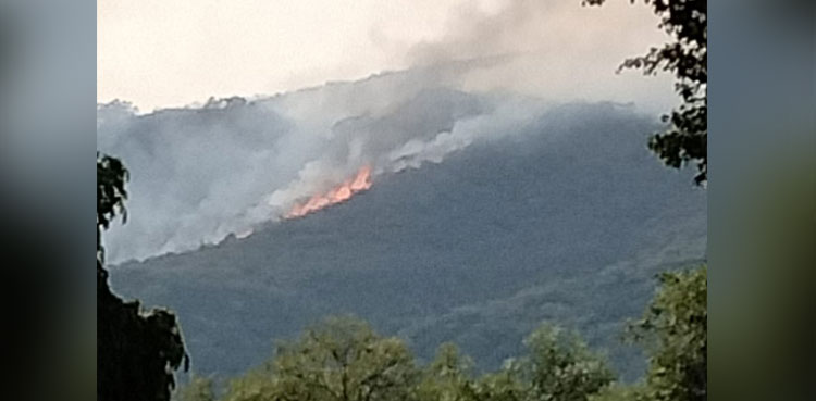 margalla-hills-fire-brought-under-control