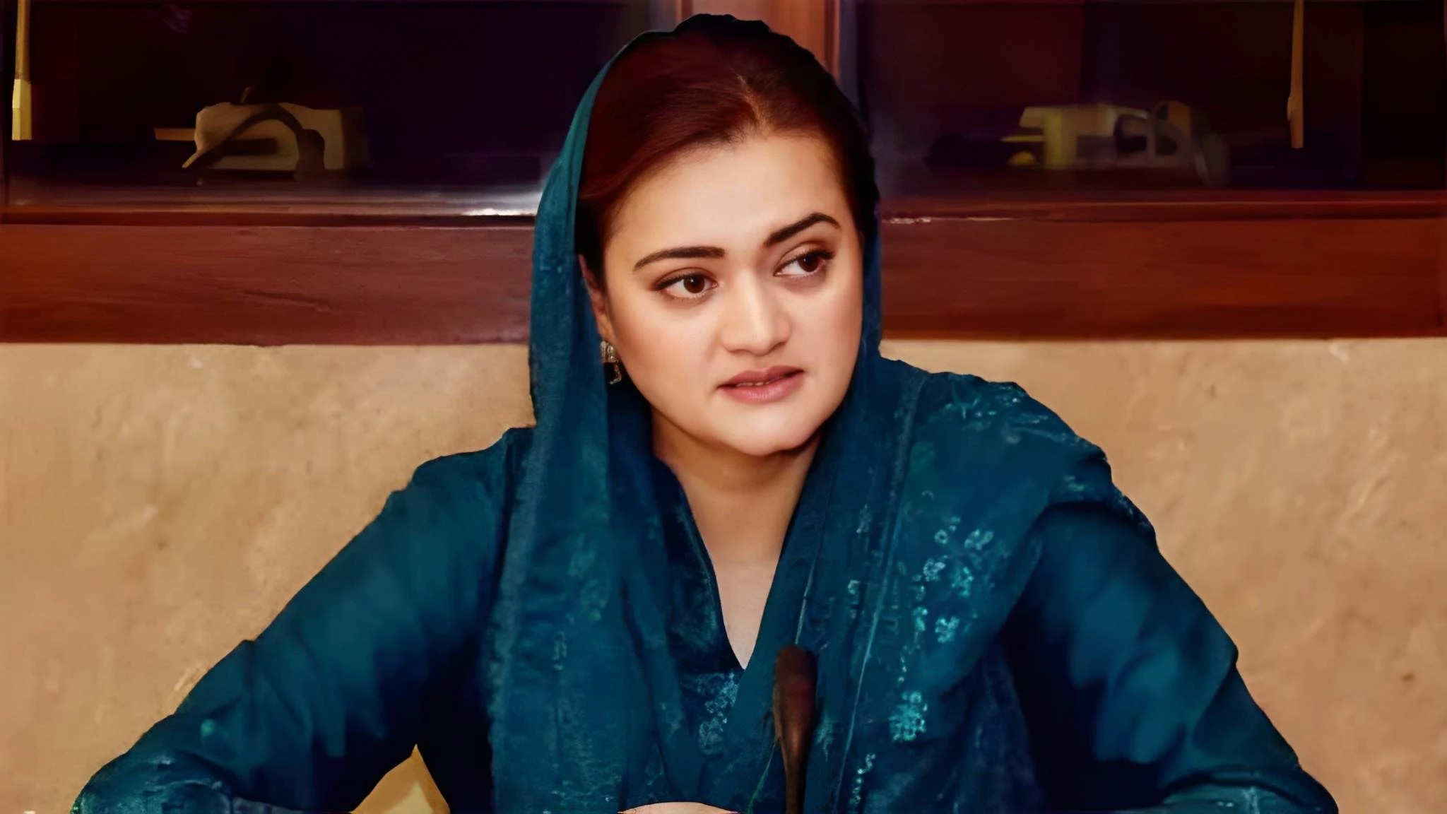 mirpur-knows-pmln-is-symbol-of-development-marriyum-aurangzeb