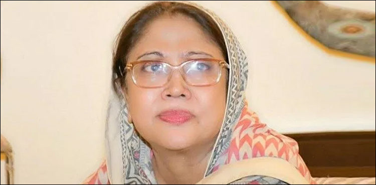 ecp-restores-plea-seeking-faryal-talpurs-disqualification