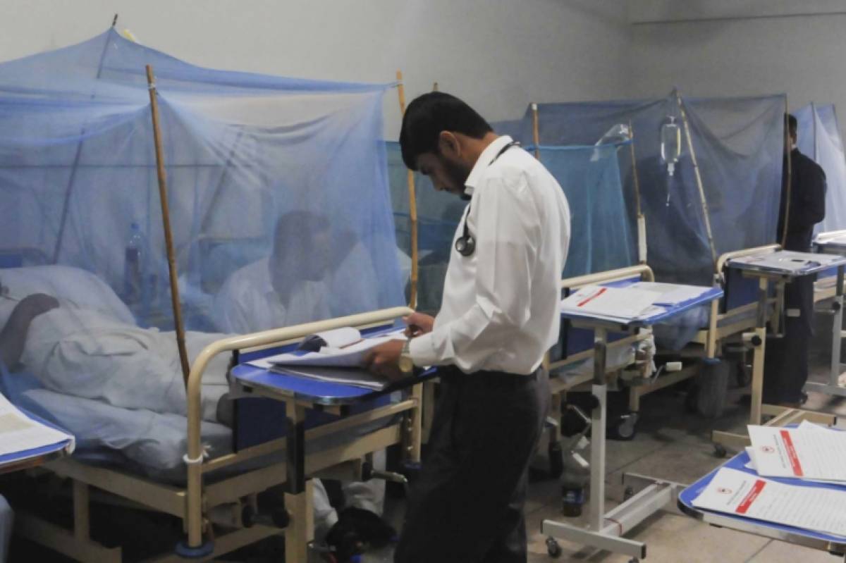 402-new-dengue-cases-reported-in-punjab-during-last-24-hours