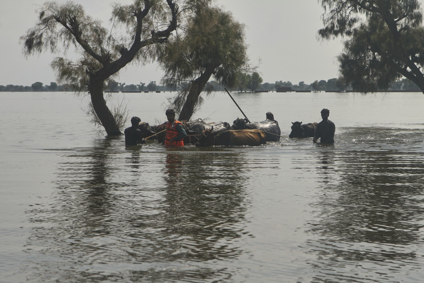 boat-carrying-flood-victims-capsizes-in-jalalpur-pirwala
