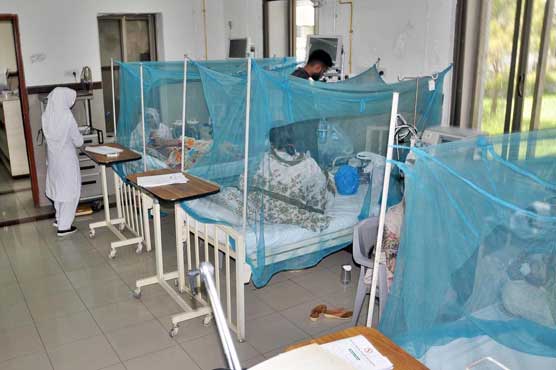 dengue-outbreak-intensifies-in-kp-as-80-new-cases-emerge-in-24-hours