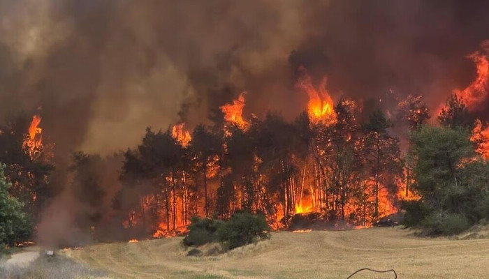 wildfires-rage-near-jerusalem-major-road-closed-communities-evacuated
