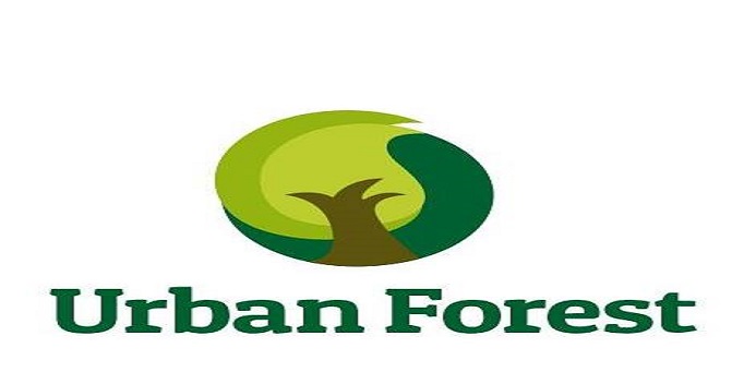 urban-forest-to-start-at-three-sites-in-faisalabad