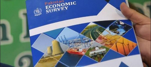 govt-fails-to-achieve-any-economic-target-for-current-fiscal-year