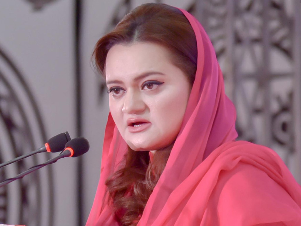 pml-n-rejects-daily-mails-report-terms-it-baseless