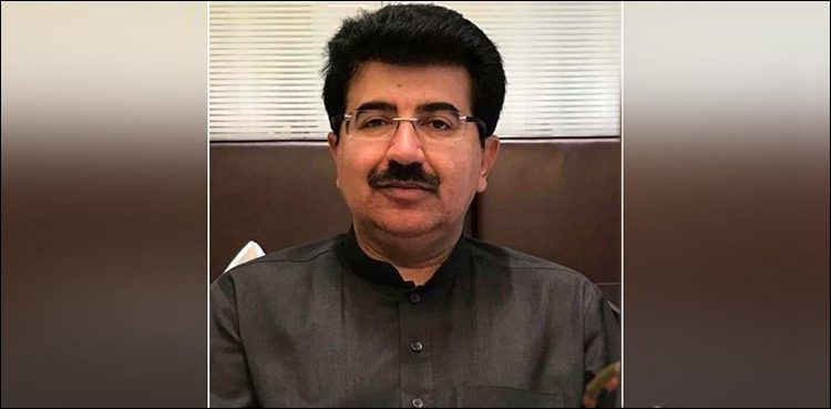 sanjrani-urges-chinese-businessmen-to-invest-in-health-sector