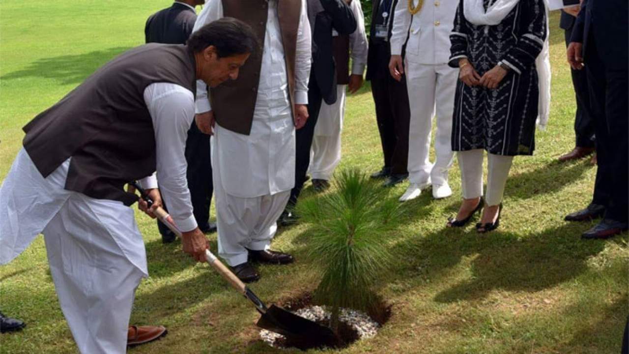 pm-imran-announces-to-plant-ten-billion-trees-across-the-country-in-five-years