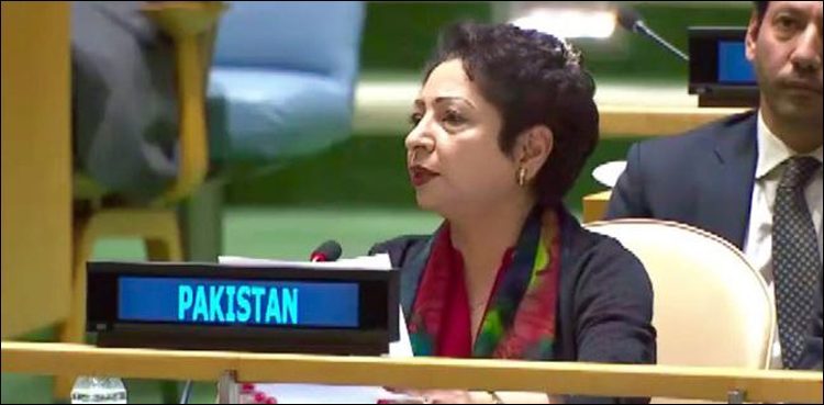 maleeha-lodhi-to-brief-un-security-council-president-about-current-situation-in-kashmir