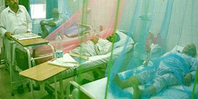 two-more-dengue-patients-die-in-islamabad